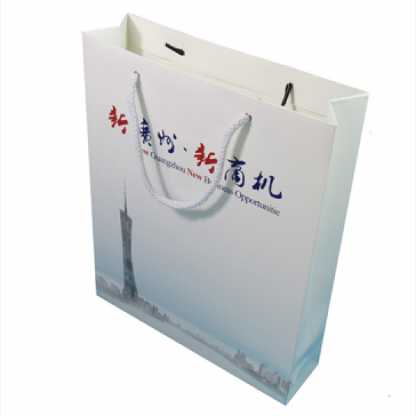 Paper Bag-BS00001